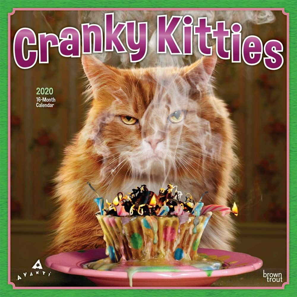 2020 Wall Calendar Cranky Kitties Angry Cat Humor Feline for Animal