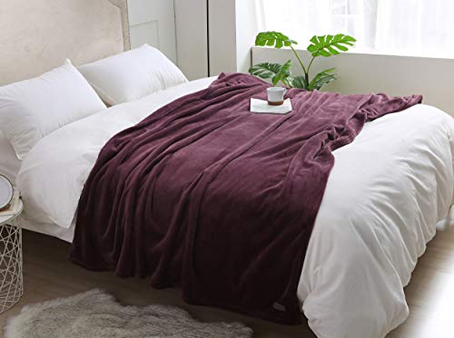 BEAUTEX Fleece Throw Blanket for Couch Sofa or Bed Throw Size Wine, 50 x 60 Luxury Flannel Lap Blanket Soft Fuzzy Plush Blanket Super Cozy and Comfy for All Seasons