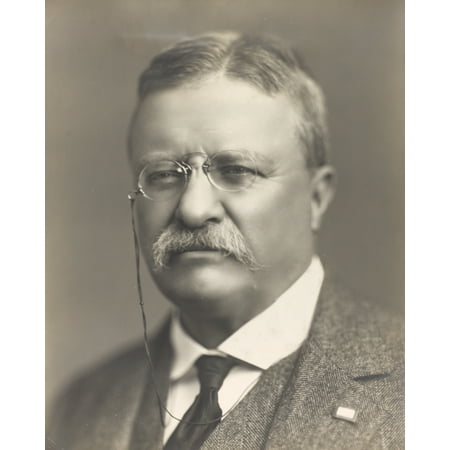 

Print: Theodore Roosevelt Head-And-Shoulders Portrait Facing Front 1918