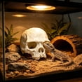 thumbnail image 5 of Cififendec Halloween Aquarium Skull Ornament, 3.93"×3.46", Plastic Hideout Cave for Fish Tank Reptile Terrarium Turtle Lizard Shrimp Hiding Decor, 5 of 6