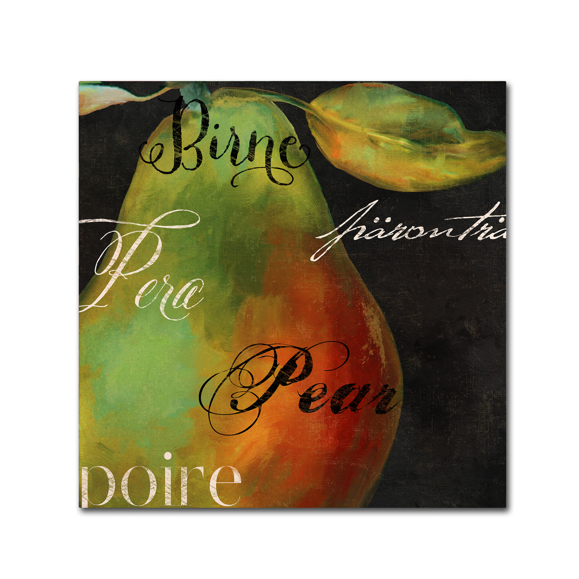 Trademark Fine Art "Painted Pear I" Canvas Art by Color Bakery