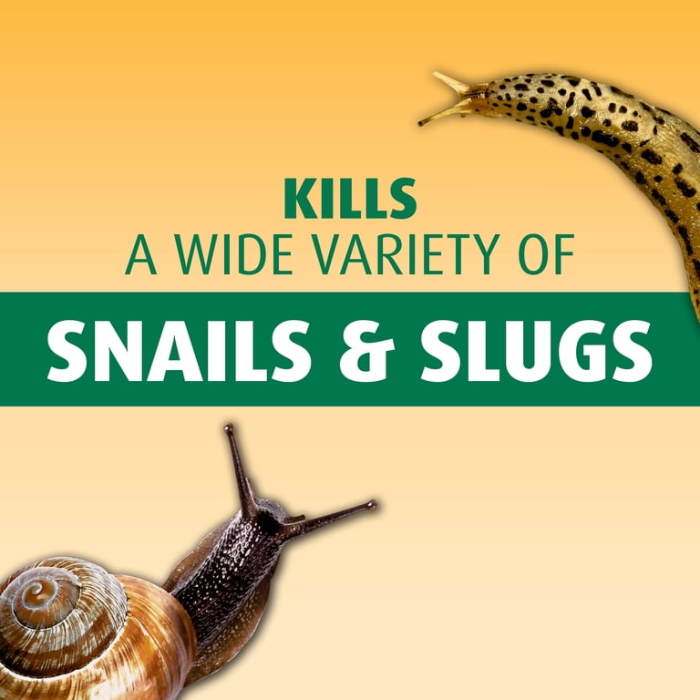 Ortho Bug-Geta Snail & Slug Killer, 2 lbs photo 2