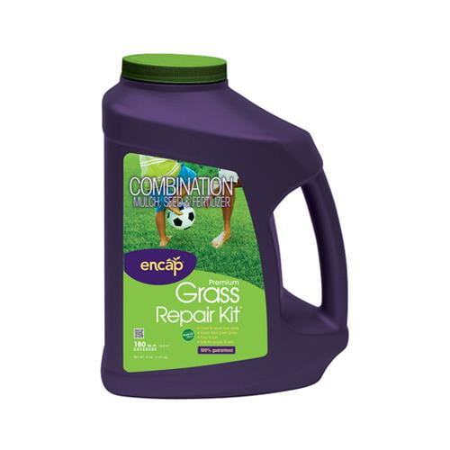 grass seed kit smarky kat grass seed kit smarky kat