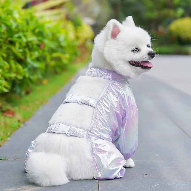 Pantalon de Marche pour Chien Respirant et Anti-Saleté, Léger, pour Activité Extérieure, Violet, P