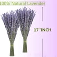 thumbnail image 6 of Dried Lavender Flower Bundle,200 Stems 16'' Preserved Lavender Bouquet,Dried Lavender,Dried Flower Bouquet for Home Decor,Vase,Crafts,Gift Wrap,Wedding, 6 of 7