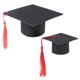 thumbnail image 4 of KAKOWELY 2 birretes de graduación de animales pequeños, mini sombreros de soltero con borlas, sombreros de conejillo de indias para disfraz., 4 of 5