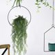 thumbnail image 1 of Decoración de Pared de Ratán Artificial - Hojas Artificiales de Plástico Verde de 80 Cm para Bodas, Banquetes, Balcones y Pasillos - 1 Pieza, 1 of 6