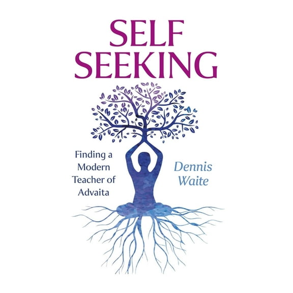 Self Seeking: Finding a Modern Teacher of Advaita, (Paperback)