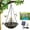 Gray, variant on Hanging Solar Bird Bath Fountain – Solar Powered Cascading Outdoor Water Fountain with Glass Bowl, Hummingbird Bath for Garden Yard Decor(Blue)