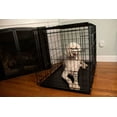 Iconic Pet 24" Foldable Double Door Pet Dog Cat Training Crate with