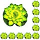 thumbnail image 2 of Loto artificial Inteprter simulación decoración estanque piscina 10piezas Verde, 2 of 3