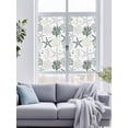 thumbnail image 4 of Reusable Frosted Window Coverings, Sage Green Coastal Window Privacy Film Frosted, Summer Beach Coral Shell Ocean Sun Blocking Windows Stickers for Kitchen Front Door, 23.6 x 59 Inches, 4 of 9