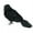 B, variant on Ealistic Crow Black Feathered Crow for Halloween Decorations Birds Toys 5.11in