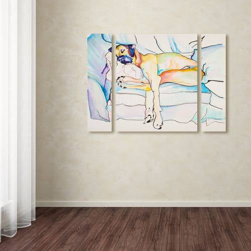 Trademark Fine Art ''Sleeping Beauty'' by Pat Saunders 30" x 41" Multi Panel Art Set Large (886511923614)