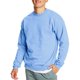 thumbnail image 1 of Sudadera Hanes EcoSmart para hombre, azul claro, talla grande, 1 of 7