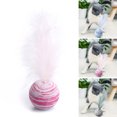 thumbnail image 2 of Cat Toy Interactive Artificial Feather Pet Ball Cat Fetch Ball Cat Teaser Toy, 2 of 5