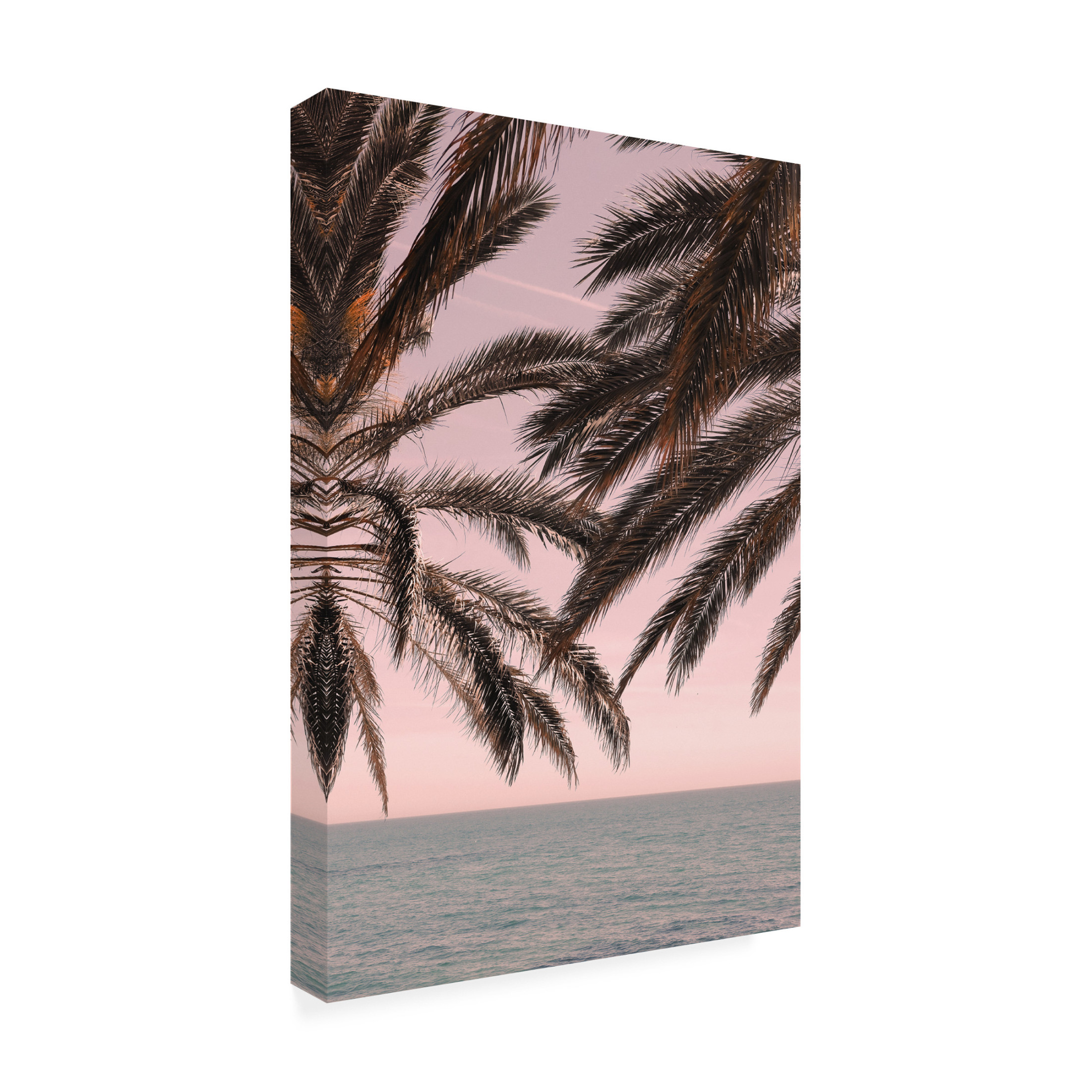 Pictufy Studio III 'Palm 11' Canvas Art - 22 x 32 Inches