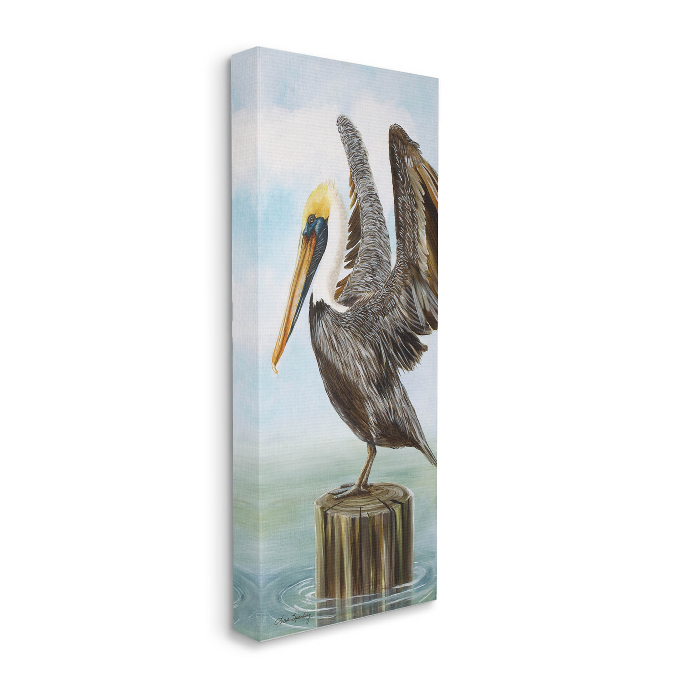 Pelican Grazing Sea Water Animals & Insects Painting Gallery Wrapped Canvas Print Wall Art