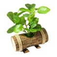 thumbnail image 4 of Mini Plantas en , Plantas Artificiales con Macetas de Tronco de Madera, Pequeñas Plantas en para Estante, Sala de Estar, Baño, Decoración Estilo D perfecl plantas en macetas falsas, 4 of 8