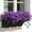 Purple, variant on QuanTara Artificial Soft Flower – Realistic Faux Bloom for Wedding, Home Décor, Party & Photo Props – Lifelike Plastic Simulation Flower – 1 Piece