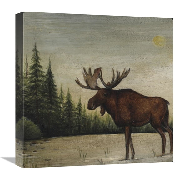 Global Gallery's 'North Woods Moose II' by David Carter Brown Stretched Canvas Wall Art
