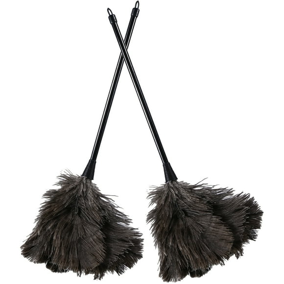 2 plumeros de plumas para el hogar, herramientas de mano para quitar el polvo con mango