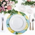 thumbnail image 4 of Ryvnso Lemon Leaves Hand Drawn Round Plate Mats Dining Table Placemat Set of 4 for Holiday Decoration, 4 of 7