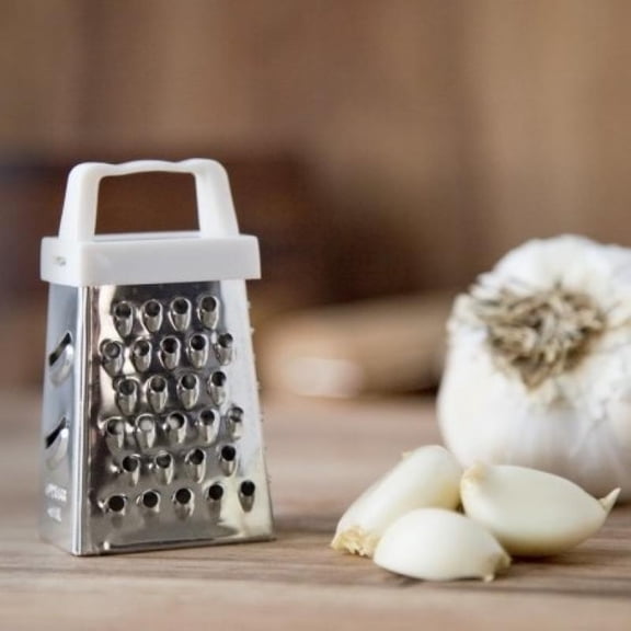 Foxrun 5525 Mini Garlic Grater Display- Stainless Steel Grater With Plastic Handle