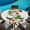 Green, variant on Round Table Cover 55-60 Inch Strawberry Waterproof Reusable Table Cloth Round Fitted Vinyl Tablecloth with Elastic Edged for Parties Outdoors, Vintage Green Botanical Spring Floral