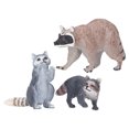 thumbnail image 1 of Raccoon Toys, Reusable Mini Simulation Static Forest Animal Raccoon Model Desktop Decoration Toys  For 3 Year Old Children, 1 of 8