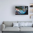thumbnail image 3 of Barathieu Gabriel 'Eye Of Squid' Canvas Art, 3 of 3