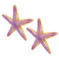 thumbnail image 1 of Estrella De Mar De Resina, Juguete De Estrella De Mar Aspecto Lindo Colores Brillantes Textura única Para Adorno Para Regalos, 1 of 7