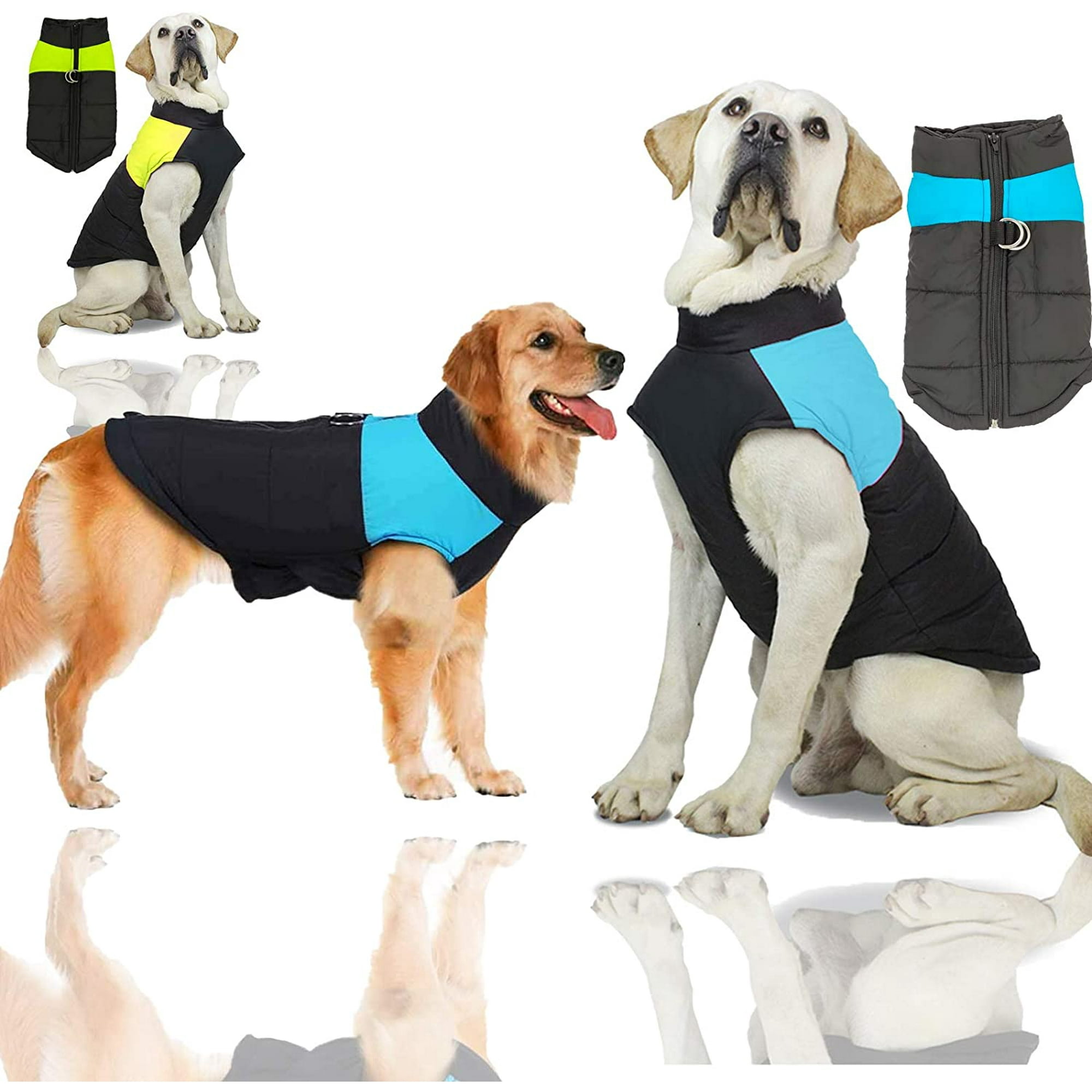 How Do You Measure A Dogs Bust