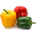 thumbnail image 4 of GSDWIUEW Sweet Bell Pepper Rainbow Mix Vegetable for Planting Heirloom, 4 of 8