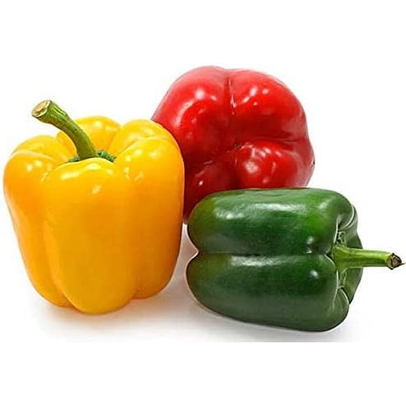 GSDWIUEW Mélange de Graines de Poivron Doux Arc-en-Ciel Légume pour Plantation Géant 30 Graines
