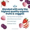 thumbnail image 3 of Amara Strawberry Organic Fruit Bites, Baby & Toddler Snacks, No Added Sugar, Stage 3, .75 oz Bag, 3 of 6