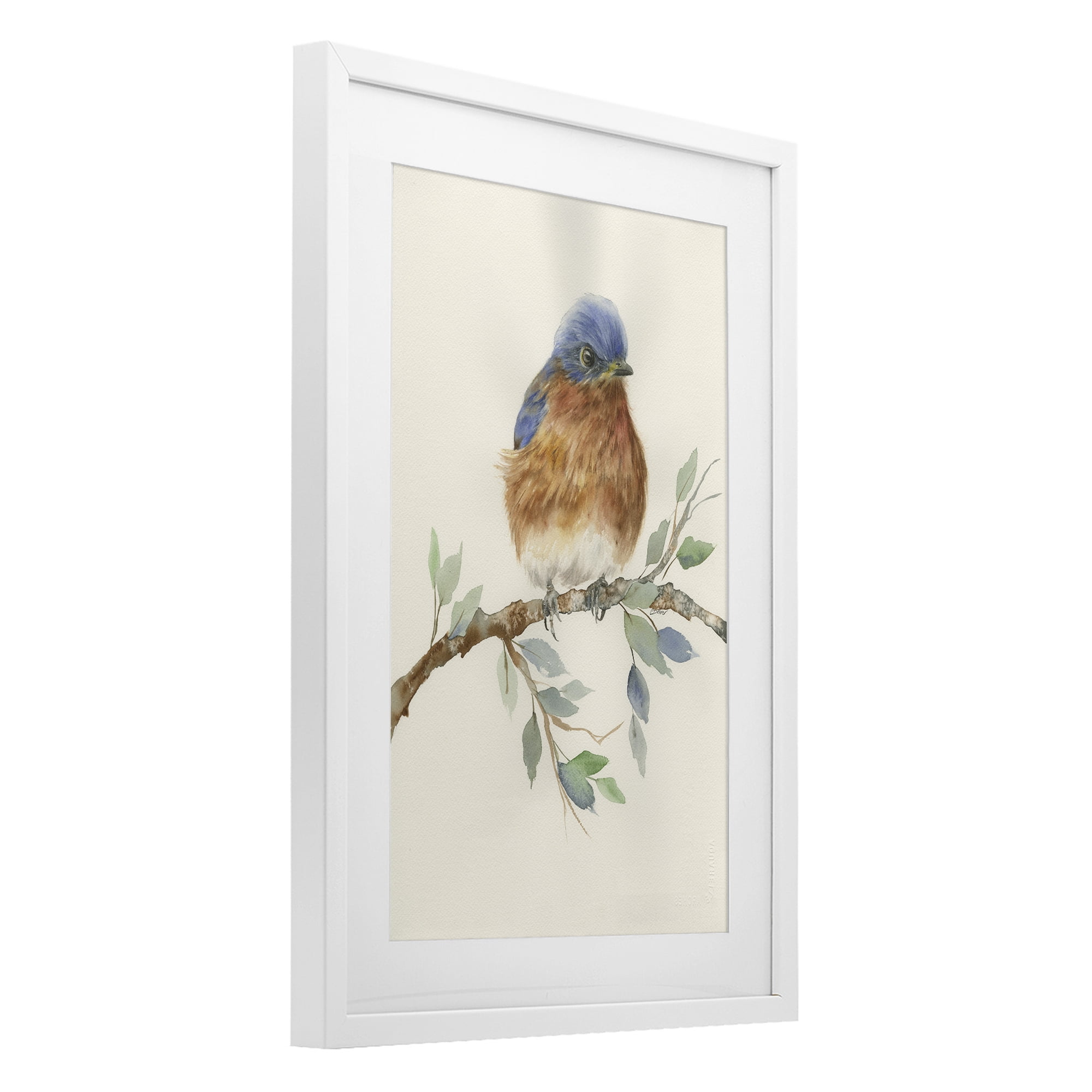 Stupell Industries Songbird Perched on Branch White Framed Print Under Glass, design by Cady Driver