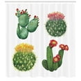 thumbnail image 3 of Ambesonne Cactus Shower Curtain, Watercolor Tropical Art, 69"Wx84"L, Multicolor, 3 of 3