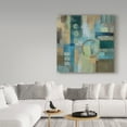 thumbnail image 3 of Trademark Fine Art 'Focal Point' Canvas Art by Silvia Vassileva, 3 of 3