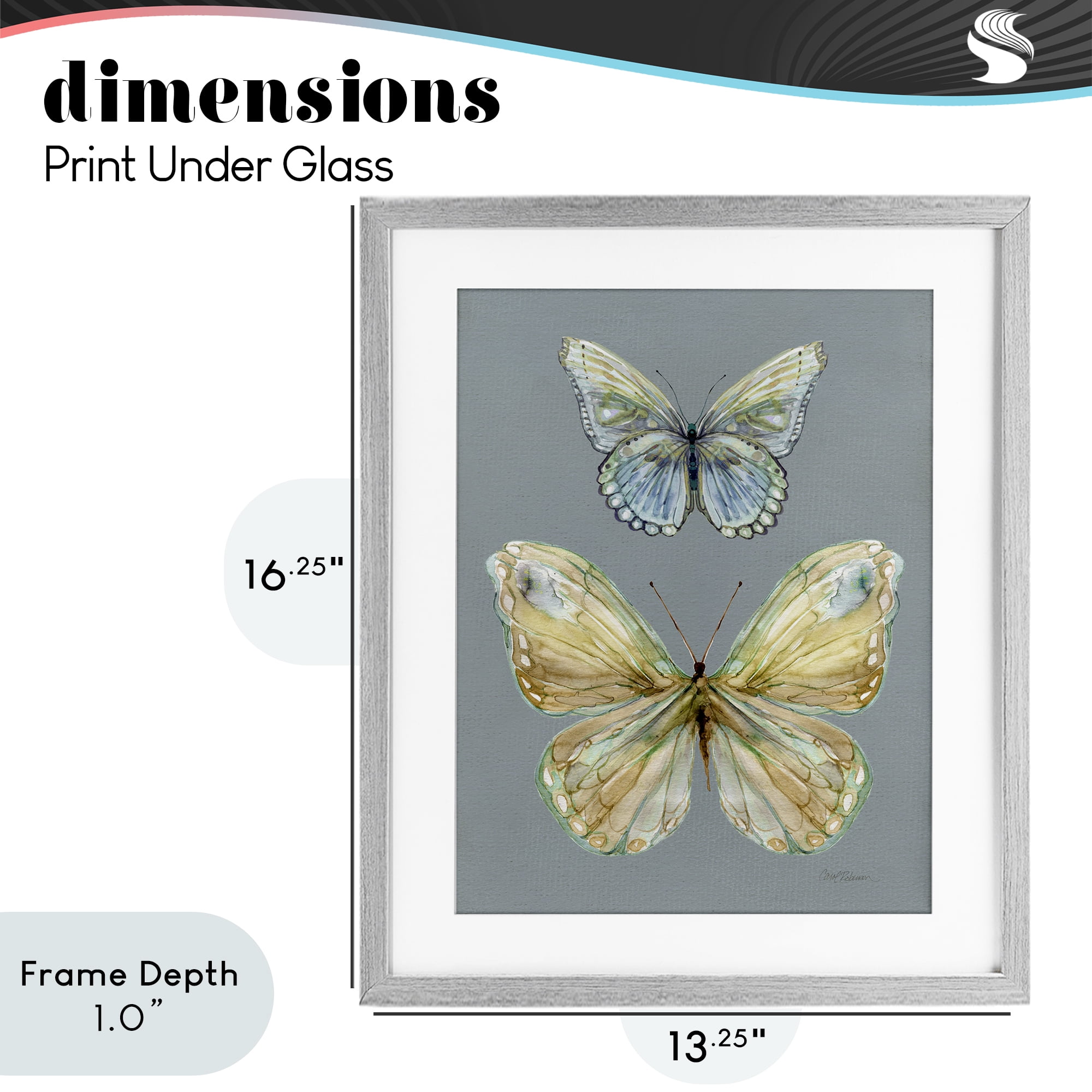 Stupell Industries Delicate Butterflies on Slate Gray Framed Print Under Glass, design by Carol Robinson