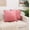 Dusty Rose Pink, variant on Elegant Comfort Pom-Poms Fringe Velvet Cushion Covers, Set of 2, Soft Decorative Square Throw Pillow Covers for Couch or Bed, Livingroom 18 x 18 Inch (45 x 45 cm), Teal