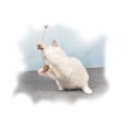 thumbnail image 4 of 2PCS Cat Chew Toy Rattan Ball Bell Pet Play Toy Cat Interactive Toy for Kitten, 4 of 10