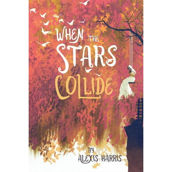 When the Stars Collide (Paperback)