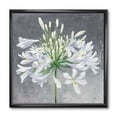thumbnail image 2 of Design Art Inc. Designart 'Flower Cleome Splash I' Traditional Floral Framed Art Print - 30x30, 2 of 3
