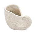 thumbnail image 2 of A&B Home Sand and Cement Nautilus Shell Planter with Textured Beige Finish - 8.5x5.5x6.3", 2 of 10