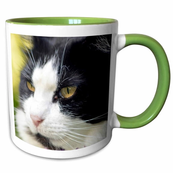 3drose, Profile of Black and White Cat, 15oz Two-tone Green Mug