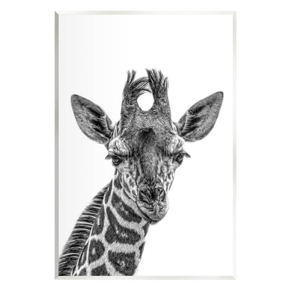 Stupell Industries Giraffe Gazing Wildlife Portrait Photograph Unframed Art Print Wall Art, Design by Kelley Parker