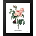 thumbnail image 2 of Sophie 6 15x18 Black Modern Framed Museum Art Print Titled - Rose Centifolia, 2 of 5