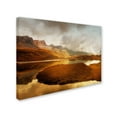 thumbnail image 3 of Trademark Fine Art 'Shades of Gold' 22" x 32" Canvas Art, 3 of 4