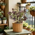 thumbnail image 5 of Artificial Perilla Leaves Greenery Stems, 17.7" Large Foliage Picks Purple-Green Leaves, Lifelike Botanic Decor for Floral Arrangement, Home Shelf Centerpiece Wedding Party Indoor, 5 of 7